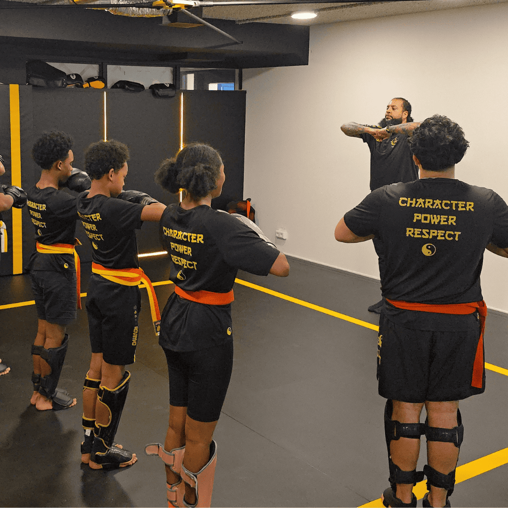 pg-osu PandaGym_Alicia